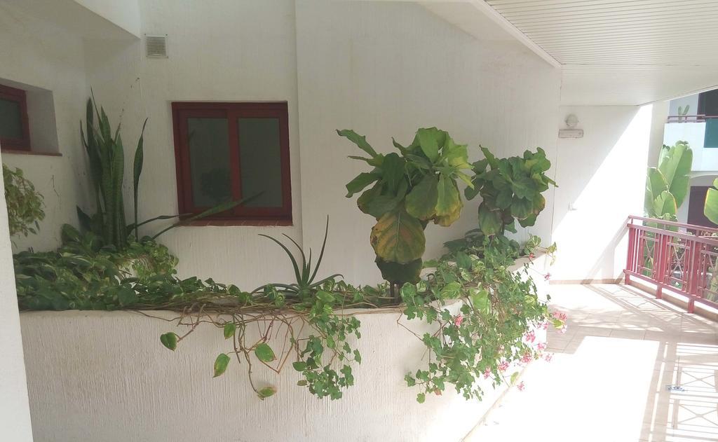 C101 Los Balandros Palm-mar Exterior foto